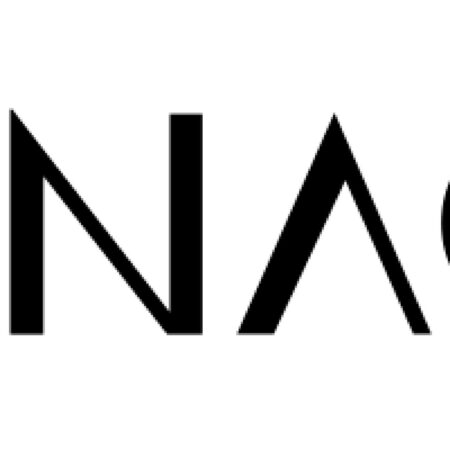 Pinnacle Developers