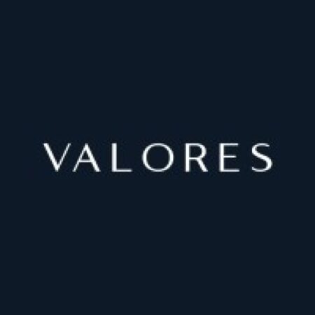 Valores Property Development LLC